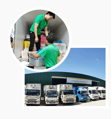 專業(yè)配送車隊